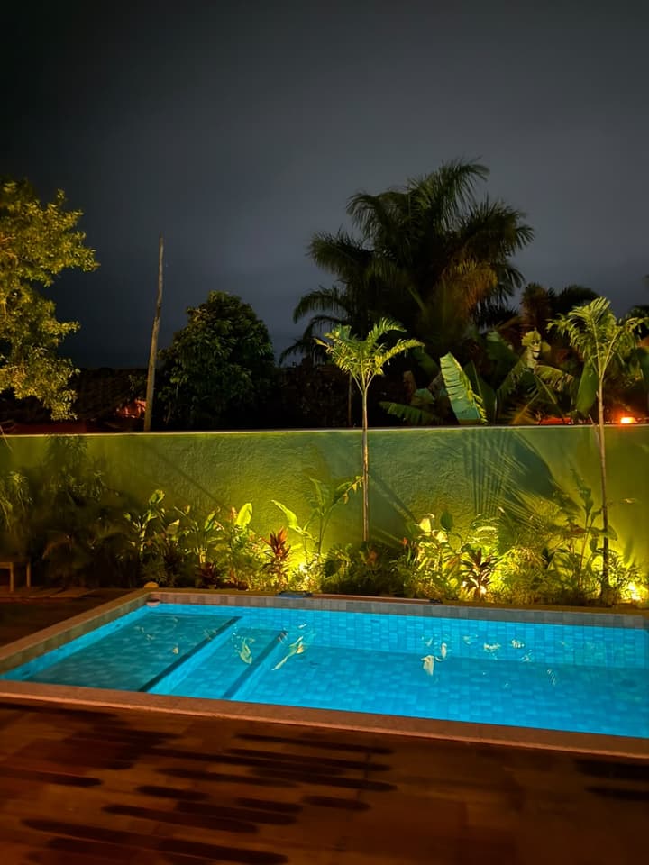 Piscina iluminada à noite, com água transparente, cercada por deque de madeira e jardim tropical.